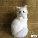 Baby Cat Realista - Extremamente Fofo