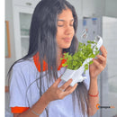 HidroMax Sempre Verde | Ultra Conservador de Temperos™