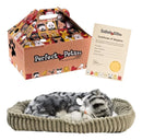 Baby Cat Realista - Extremamente Fofo