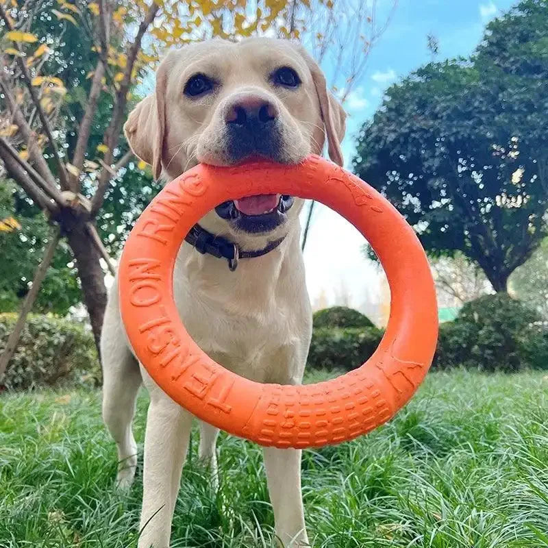Anel Voador para Cães - Brinquedo de Treinamento e Diversão ao Ar Livre. - Compre cá