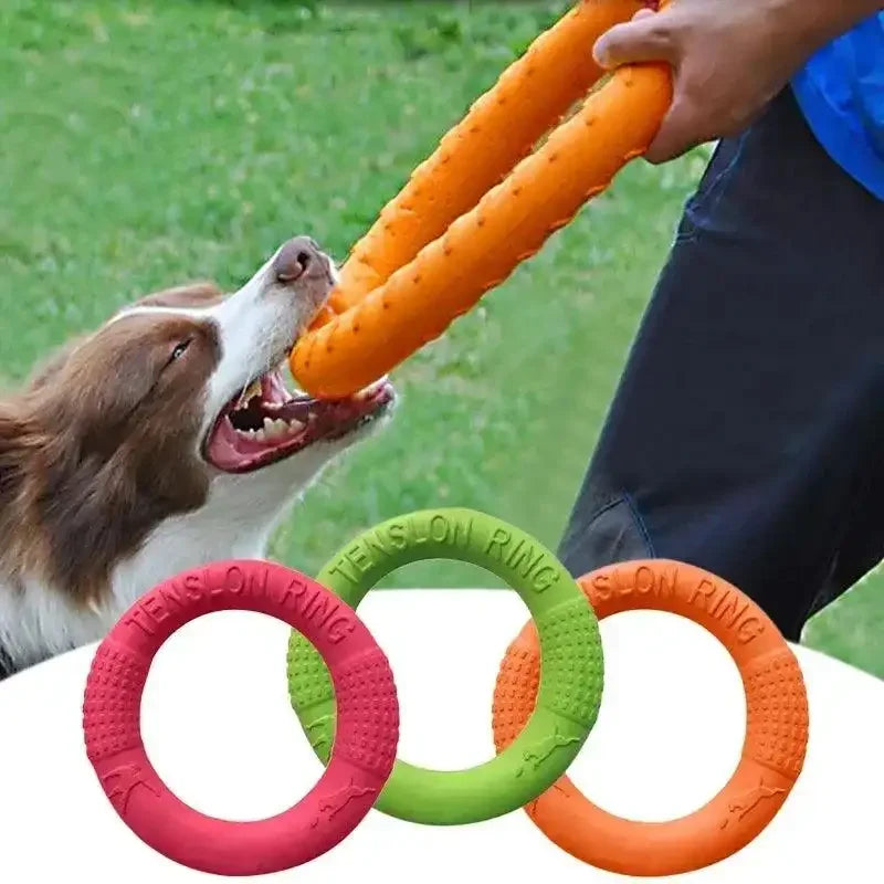 Anel Voador para Cães - Brinquedo de Treinamento e Diversão ao Ar Livre. - Compre cá