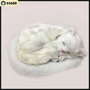 Baby Cat Realista - Extremamente Fofo